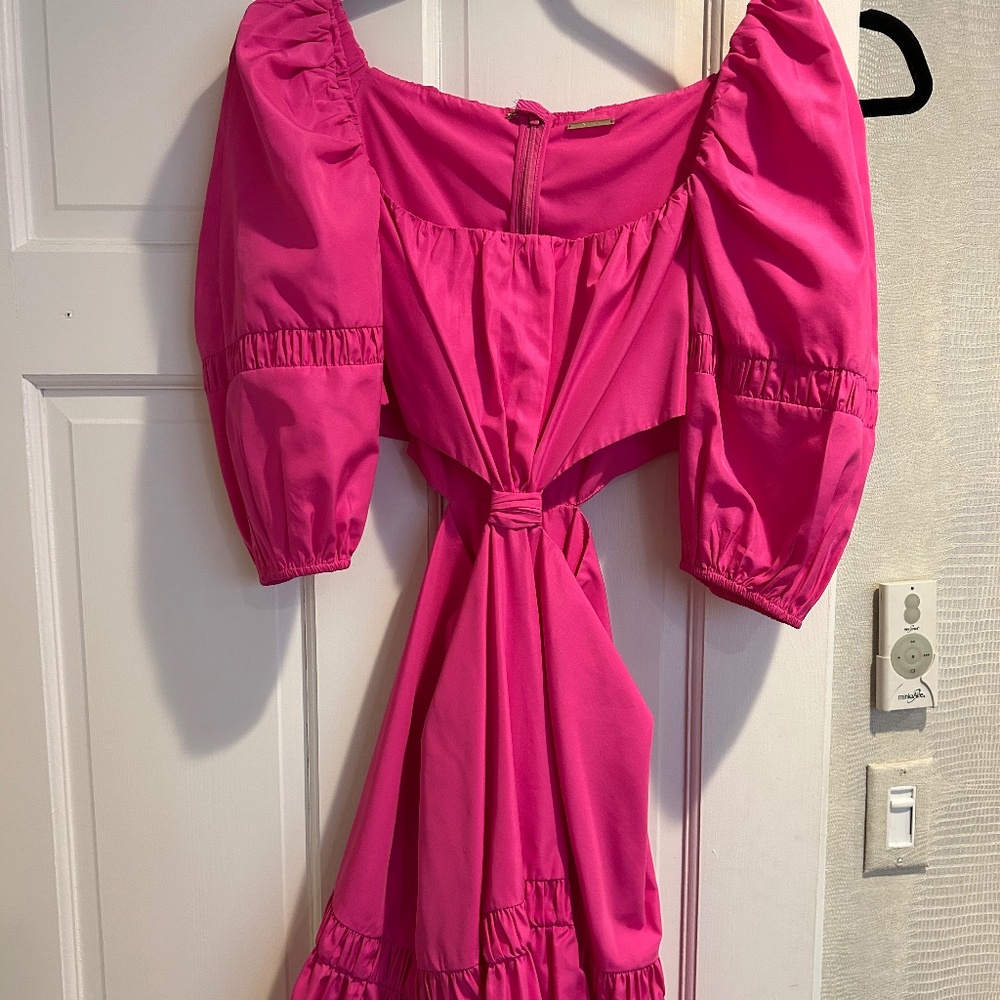 Alexis Pink Cutout Dress